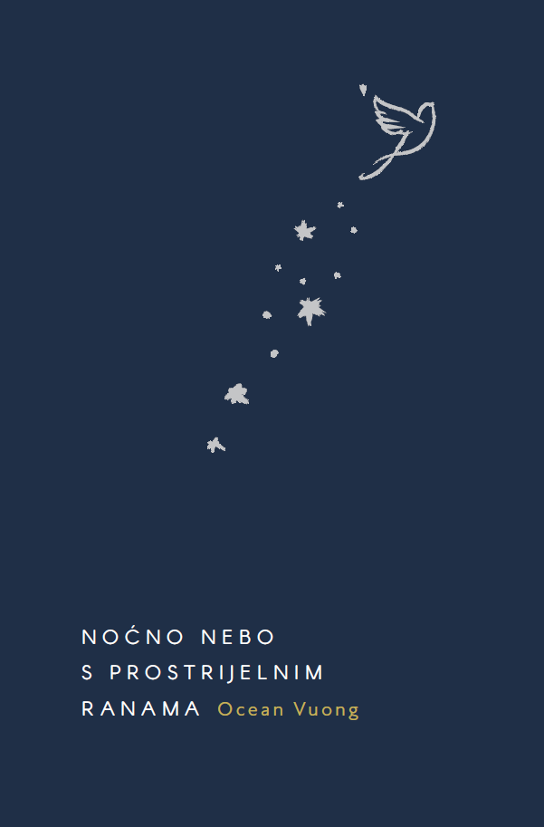 Noćno nebo s prostrijelnim ranama