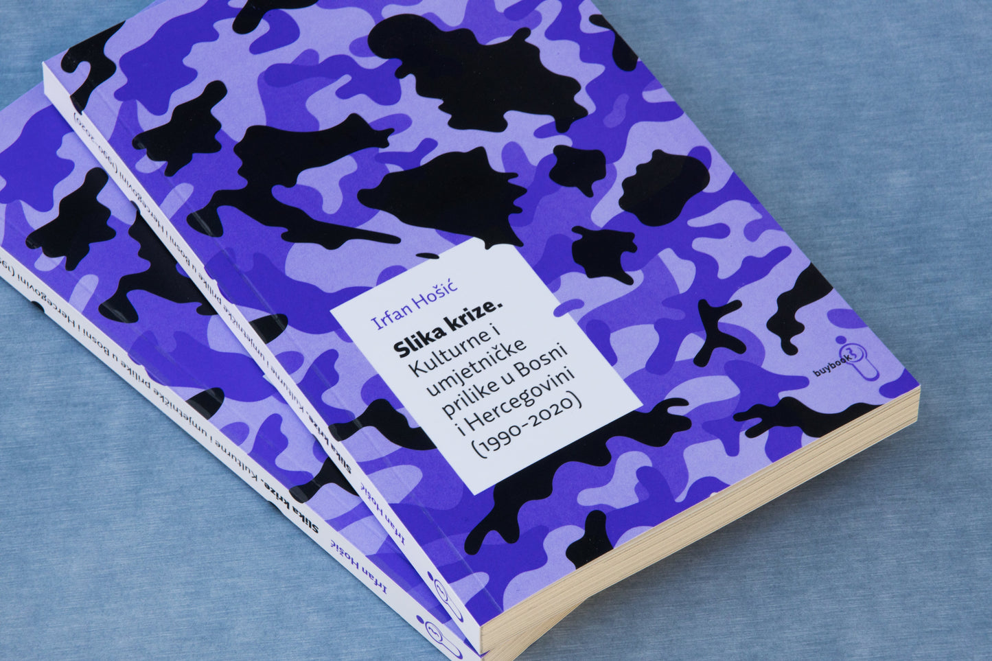 Slika krize: kulturne i umjetničke prilike u Bosni i Hercegovini (1990-2020)