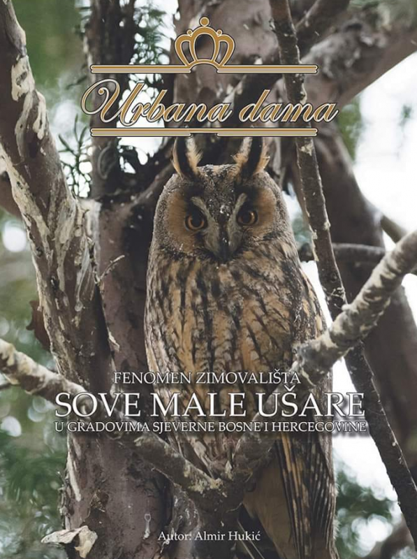 Urbana dama - fenomen zimovališta sove male ušare u gradovima sjeverne Bosne i Hercegovine