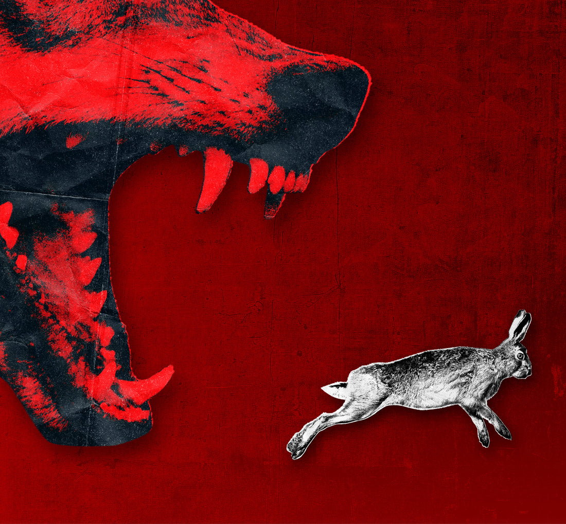 "koja odzvanja prostorom". protiv genocida: književnost izvan komforne tišine