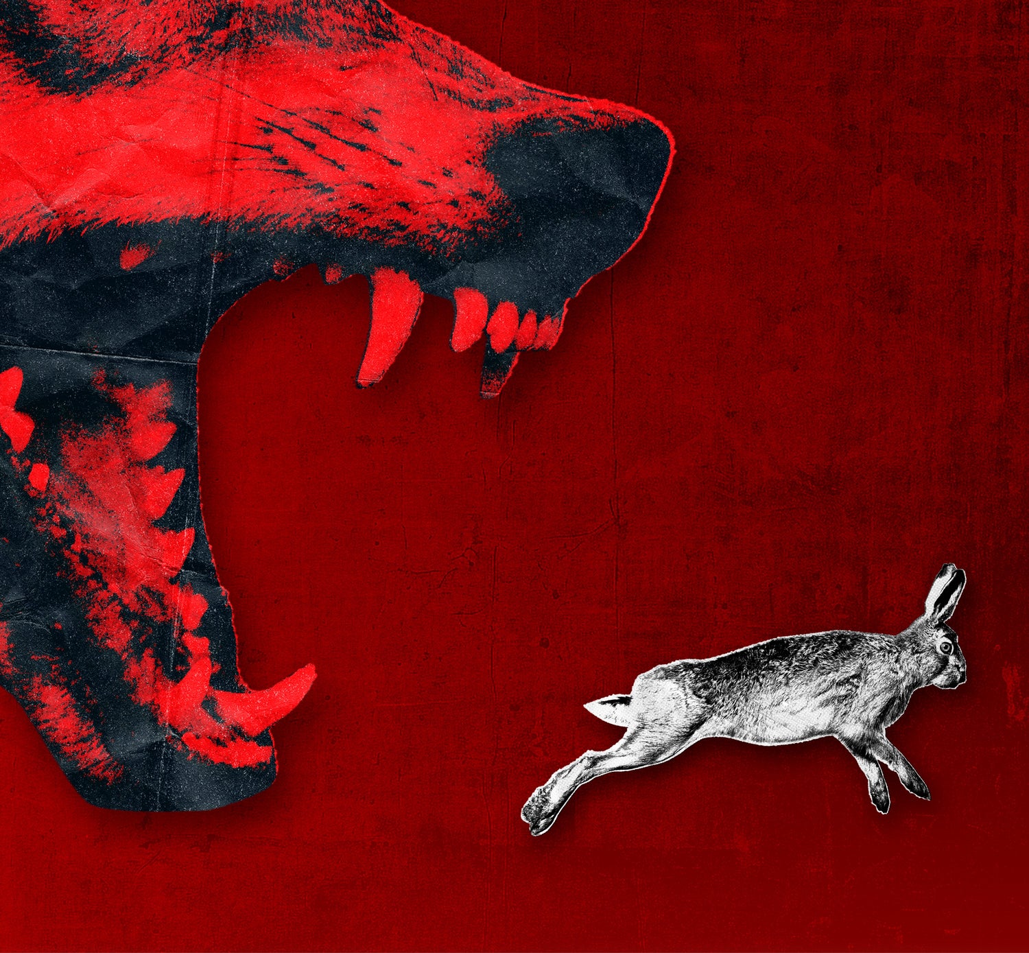 "koja odzvanja prostorom". protiv genocida: književnost izvan komforne tišine