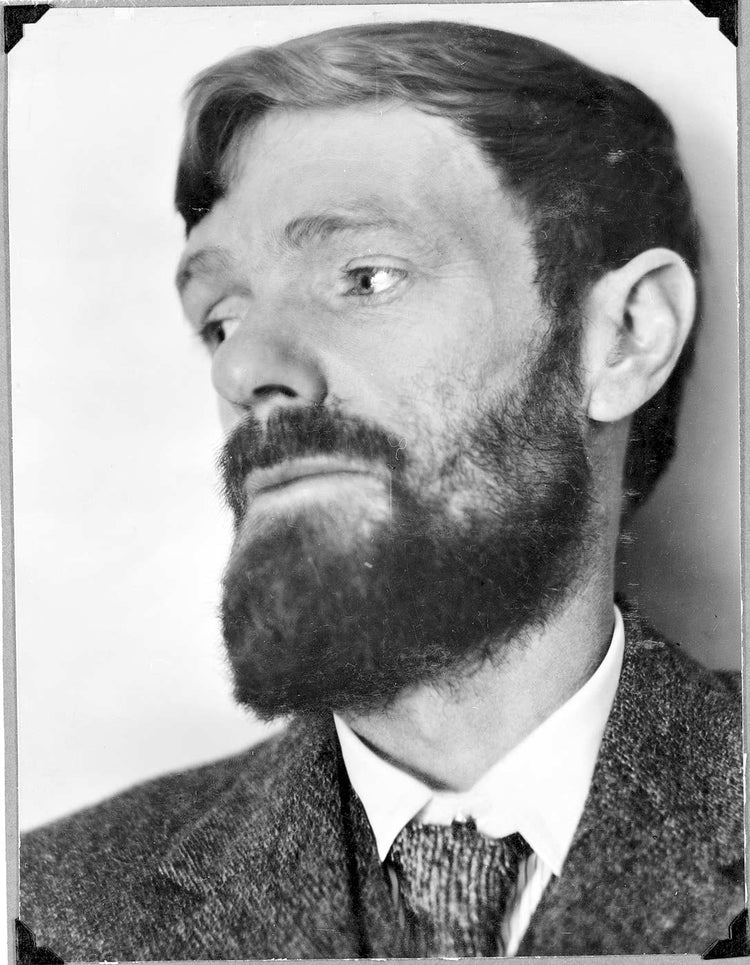 D. H. Lawrence