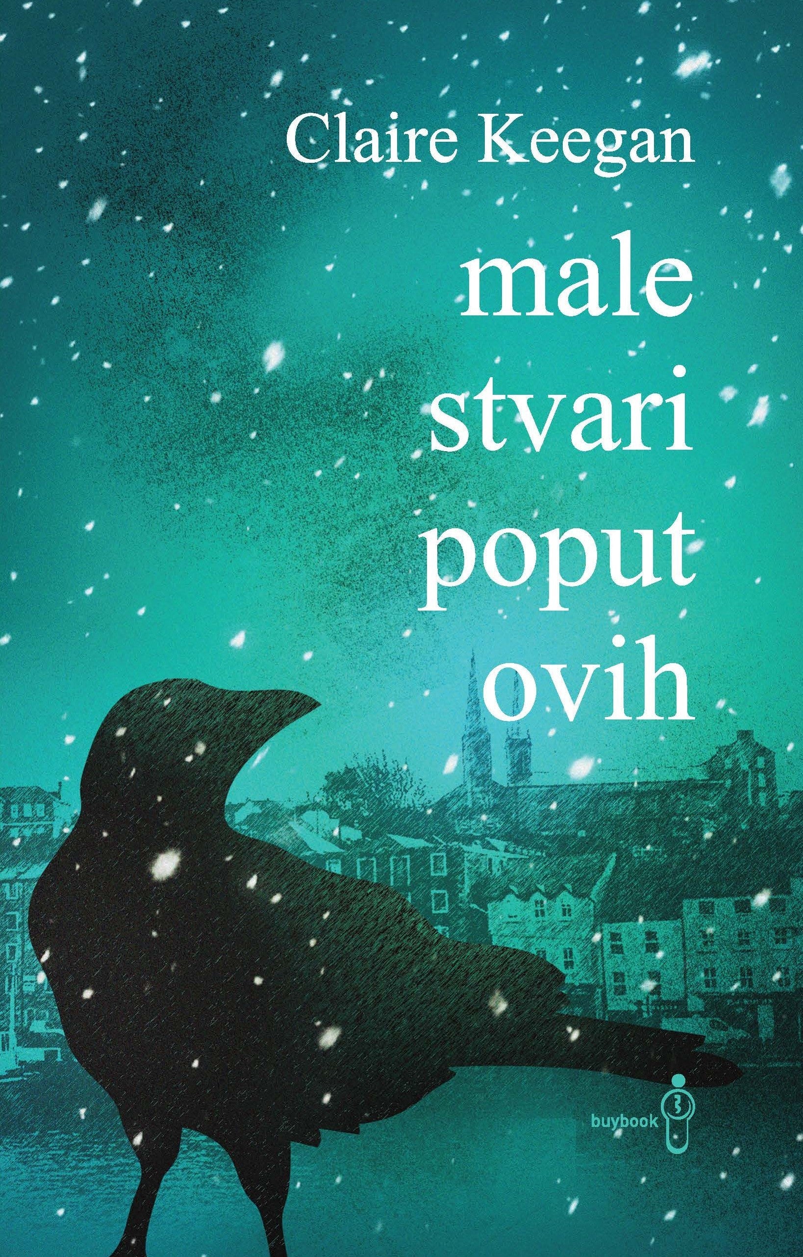 Male stvari poput ovih – Buybook