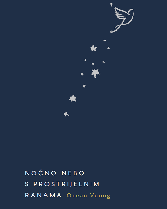 Noćno nebo s prostrijelnim ranama