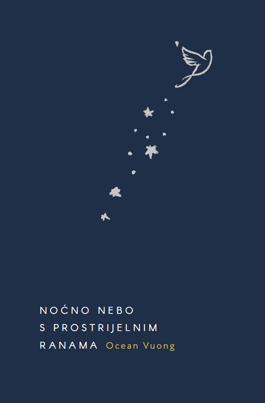 Noćno nebo s prostrijelnim ranama