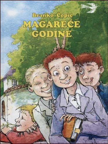 Magareće godine