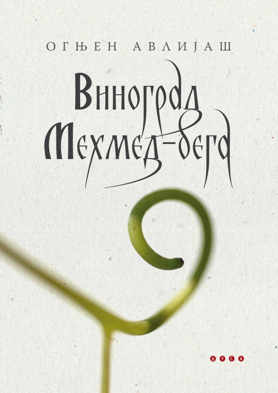 Vinograd Mehmed-bega