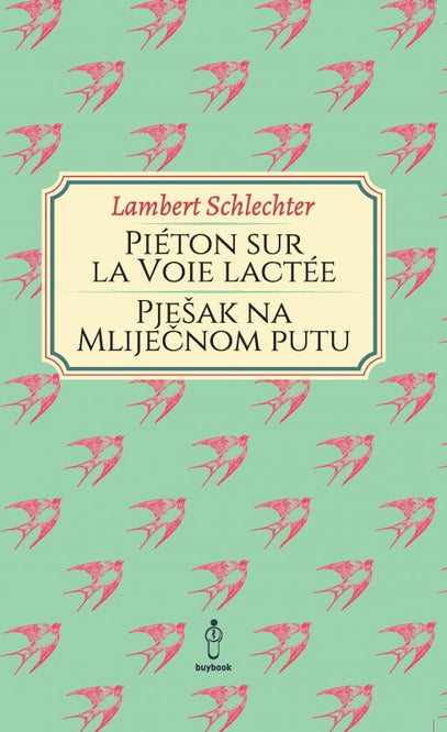 Pješak na Mliječnom putu