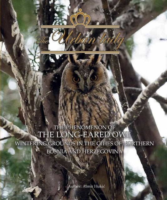 Urban Lady - The Phenomenon of the Long-eared Owl Wintering Grounds in the Cities of Northern Bosnia and Herzegovina